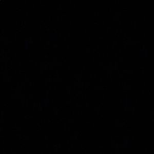 Meet your Posher, Damondree